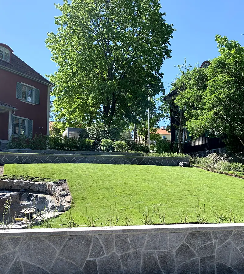 Rensa ogräs i Stockholm