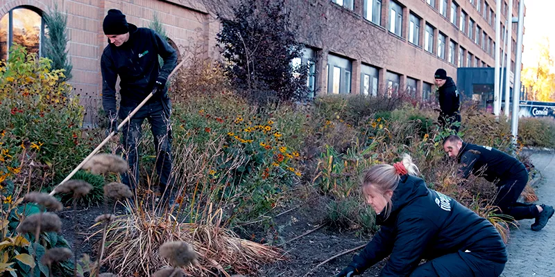 NG Företag Beskärning